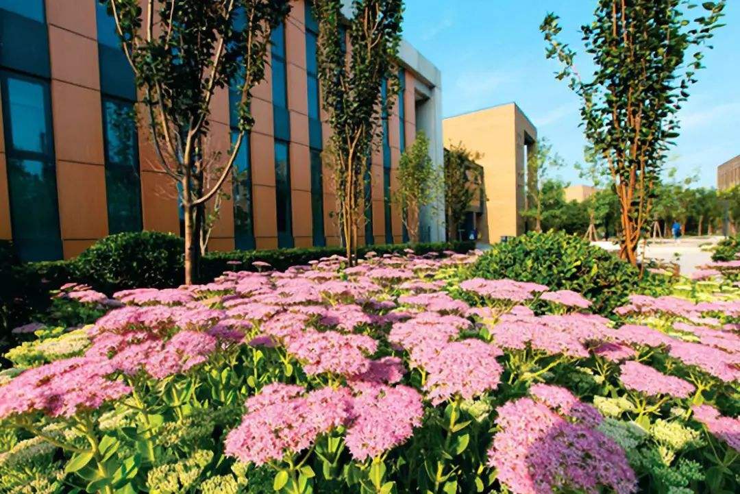 樂山廣播電視大學五通分?！鸽姶蟆?></a></div>
          <dl>
              <dt><a href=