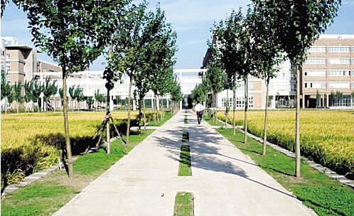 南充廣播電視大學(xué)南部縣分?！鸽姶蟆?></a></div>
          <dl>
              <dt><a href=