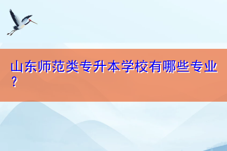 山東師范類專升本學校有哪些專業(yè)？