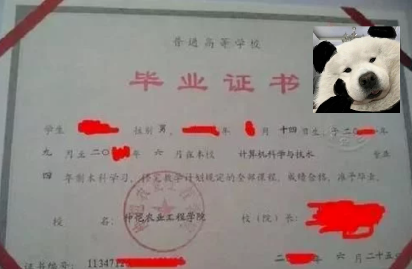 不同類型專升本畢業(yè)證圖片展示 不同類型專升本畢業(yè)證圖片展示