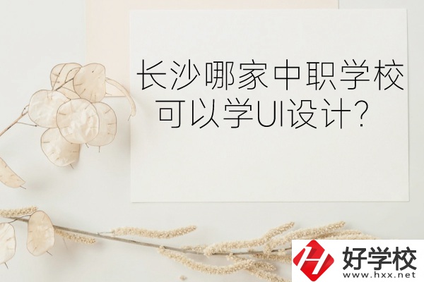 長沙哪家中職學?？梢詫WUI設計？