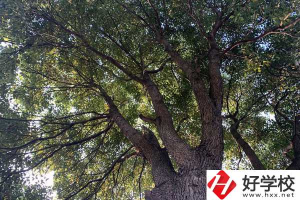 湖南省商業(yè)職業(yè)中專學(xué)校在哪里？升學(xué)就業(yè)怎么樣？