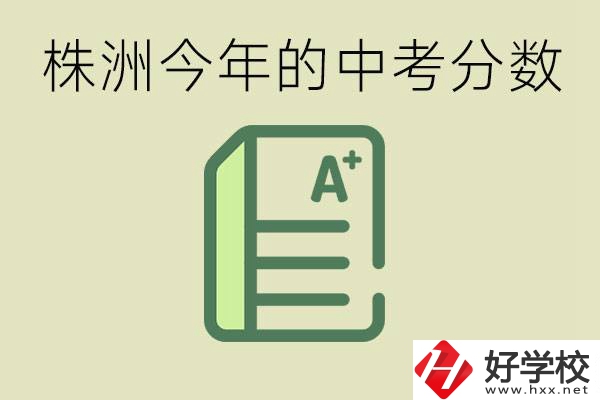 株洲今年中考多少分能上高中？沒考上有什么選擇？