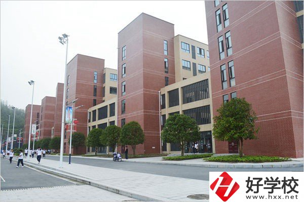 益陽有哪些職高比較有辦學特色？職高入學要求高不高？