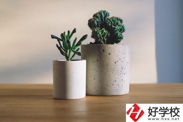 芷江民族職業(yè)中專招生專業(yè)有哪些？收費(fèi)標(biāo)準(zhǔn)如何？