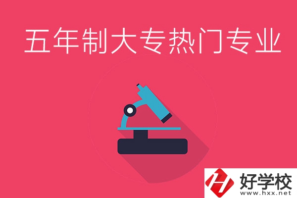 湖南五年制大專最熱門的專業(yè)有哪些？