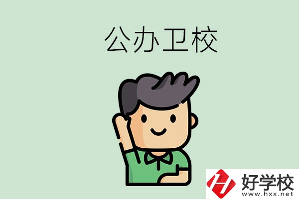 湖南的公辦衛(wèi)校有哪些？這兩所學(xué)校值得推薦！