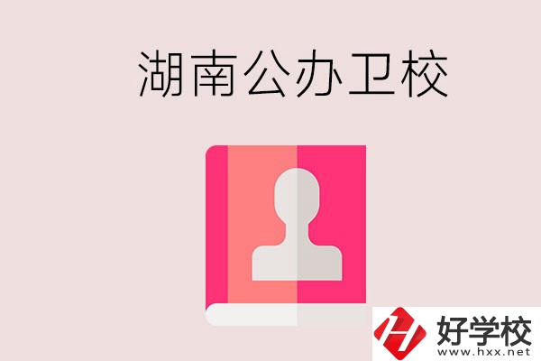 想在湖南上公辦衛(wèi)?？梢赃x擇哪些學(xué)校？