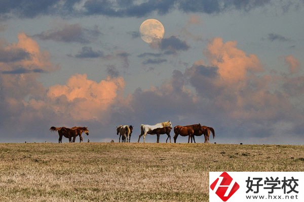 邵陽工業(yè)學(xué)校是公辦還是民辦？有什么優(yōu)勢？