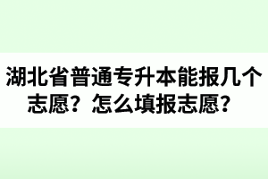 湖北省普通專升本能報幾個志愿？怎么填報志愿？
