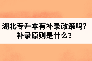 湖北專升本有補錄政策嗎？補錄原則是什么？