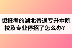 想報(bào)考的湖北普通專升本院校及專業(yè)停招了怎么辦？
