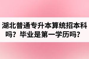 湖北普通專升本算統(tǒng)招本科嗎？專升本學(xué)歷是第一學(xué)歷嗎？