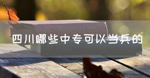 四川哪些中?？梢援?dāng)兵的(圖1)