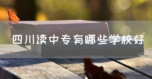 四川讀中專有哪些學校好？(圖1)