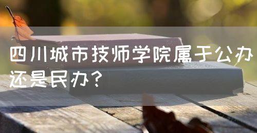 四川城市技師學(xué)院屬于公辦還是民辦？(圖1)