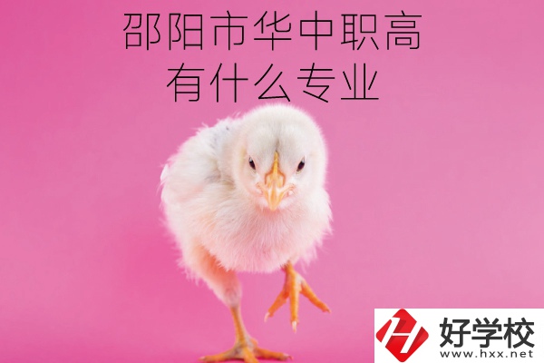 邵陽(yáng)市華中職高怎么樣?有什么專(zhuān)業(yè)?