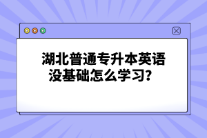 湖北普通專升本英語沒基礎(chǔ)怎么學(xué)習(xí)？