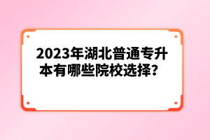 2023年湖北普通專升本有哪些院校選擇？