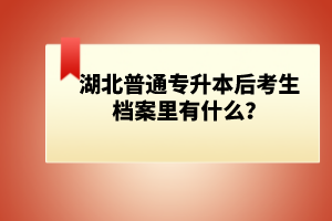 湖北普通專(zhuān)升本后考生檔案里有什么？