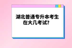 湖北普通專升本考生在大幾考試？