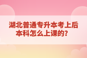 湖北普通專(zhuān)升本考上后本科怎么上課的？