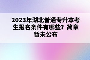 2023年湖北普通專升本考生報(bào)名條件有哪些？簡章暫未公布