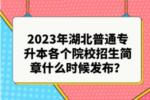 2023年湖北普通專(zhuān)升本各個(gè)院校招生簡(jiǎn)章什么時(shí)候發(fā)布？
