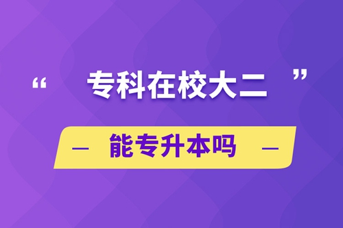 ?？圃谛４蠖軐Ｉ締? /></p><p style=