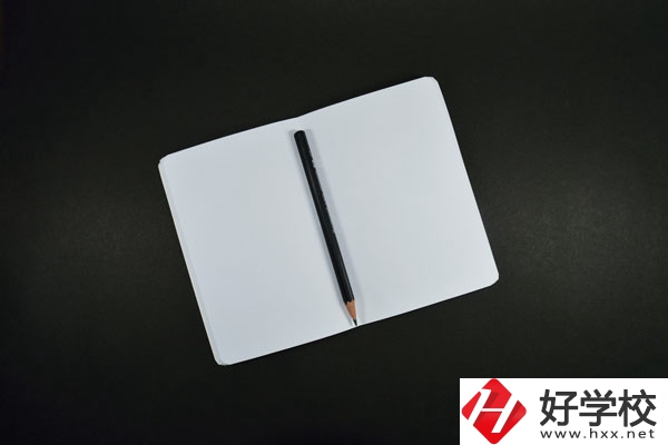 衡陽計(jì)算機(jī)學(xué)校計(jì)算機(jī)專業(yè)好不好？