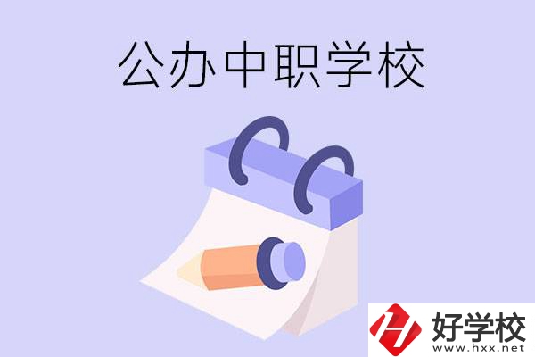 湖南公辦中職學校有哪些辦學規(guī)模比較大的？