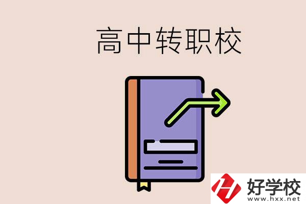 有在讀高中不想讀轉(zhuǎn)職校的例子嗎？能轉(zhuǎn)到湖南職校嗎？