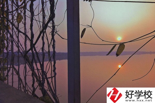 張家界的中職學校學什么專業(yè)好？哪些專業(yè)前景佳？