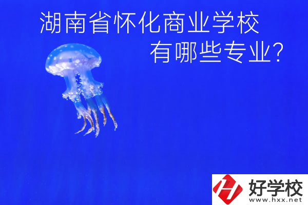 湖南省懷化商業(yè)學校好不好？有哪些專業(yè)？