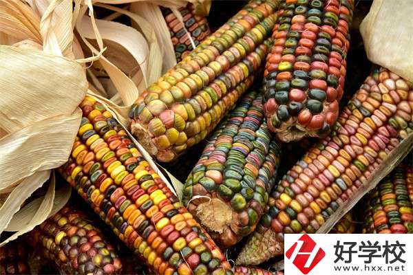 岳陽中職學校哪些專業(yè)好？有什么學校推薦？