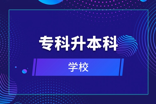 ?？粕究频膶W(xué)校