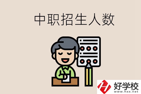 湖南中職學(xué)校每年的招生人數(shù)是多少？