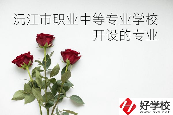 沅江市職業(yè)中等專業(yè)學校怎么樣？開設(shè)哪些專業(yè)？