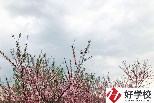 想在邵陽(yáng)讀中專，有哪些學(xué)校推薦？