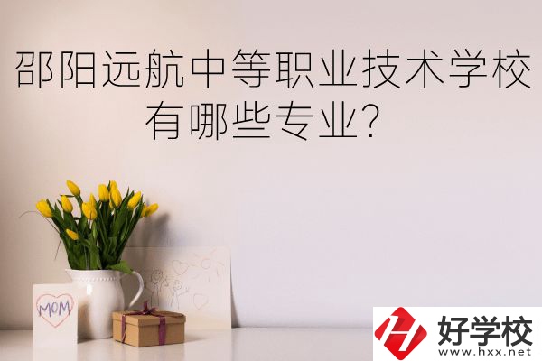 邵陽遠(yuǎn)航中等職業(yè)技術(shù)學(xué)校有哪些專業(yè)？