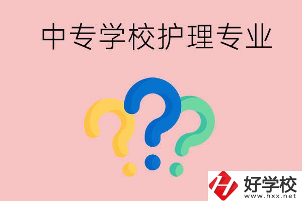 湖南的公辦中專學(xué)校哪些可以學(xué)護(hù)理專業(yè)？