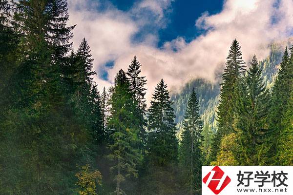 永州東方科技職業(yè)學(xué)校有哪些辦學(xué)特色？