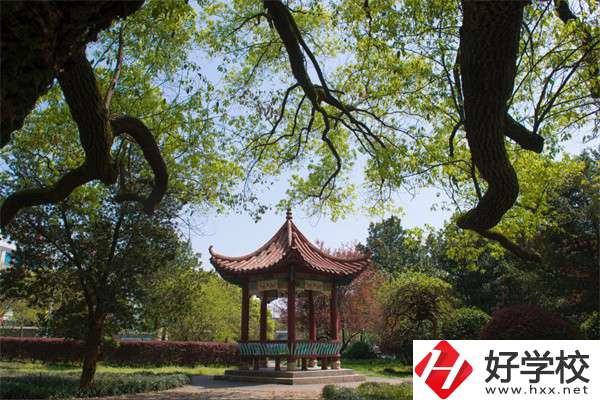長沙市望城區(qū)職業(yè)中等專業(yè)學(xué)校的官網(wǎng)是什么？
