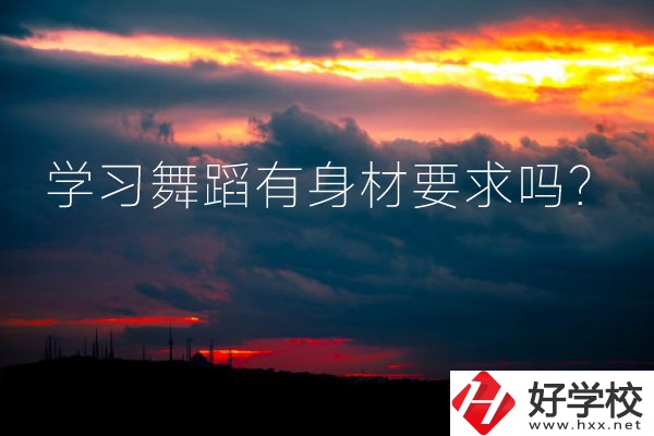 懷化有可以學(xué)習(xí)舞蹈的中專學(xué)校嗎？有身材要求嗎？