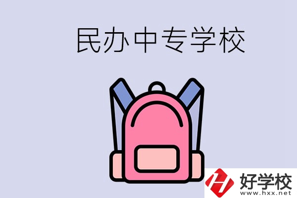 益陽的民辦中專學校有多少所？辦學怎么樣？