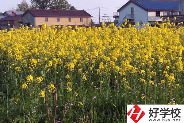 湖南省有哪些比較好的技校？熱門專業(yè)有哪些？