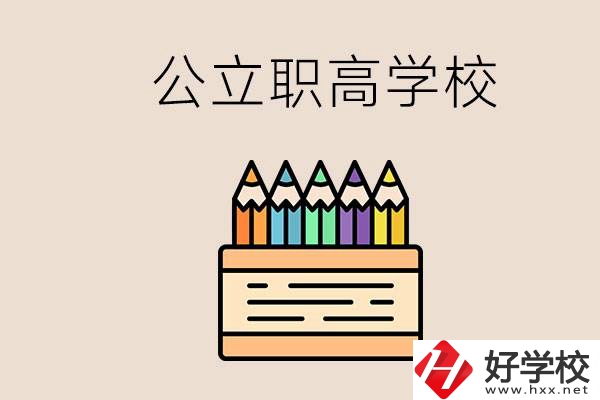 岳陽的公立職高學校有哪些？學費一般是多少？