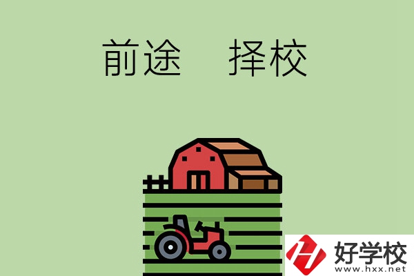 在長沙讀中職學(xué)校有前途嗎，如何擇校？