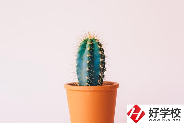 長沙有哪些中職學?？梢詫W習幼師專業(yè)？