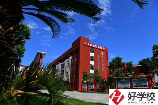 岳陽市有學(xué)工業(yè)機(jī)器人技術(shù)專業(yè)的中職學(xué)校嗎？